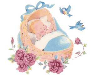 DBIBB-Baby In Basket Blue