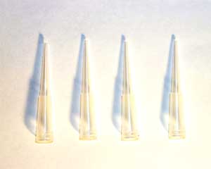 T12GT - Glue Tips