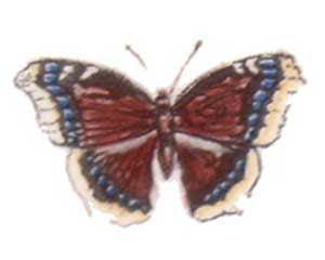 DBS6 - Butterflies Small 6