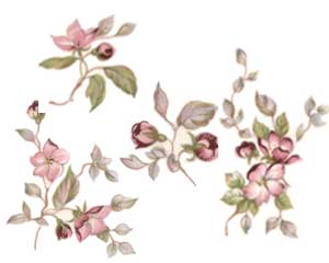 DPRintemps - Printemps, set of 4