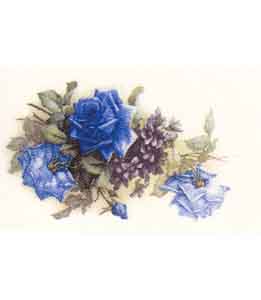 DRBLUE - Roses Blue