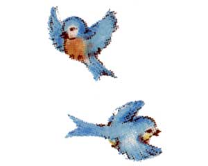 DBBT- Bluebird Twins