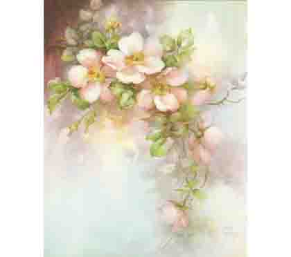 SA203 - Sonie Ames Print: Pink Wild Roses
