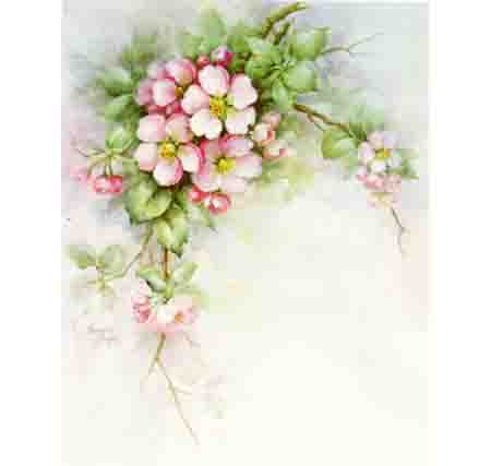 SA206 - Sonie Ames Print: Apple Blossom