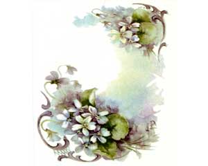 SA218A - Sonie Ames Print: Violets