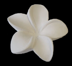SCD03 - Large Ceramic Frangipani Flower